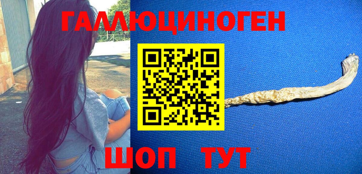 Галлюциногенные грибы Magic Shrooms Карталы