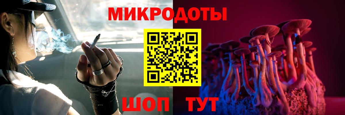 Псилоцибиновые грибы Psilocybine cubensis  Галлюциногенные грибы мицелий  Вход с VPN  Карталы 